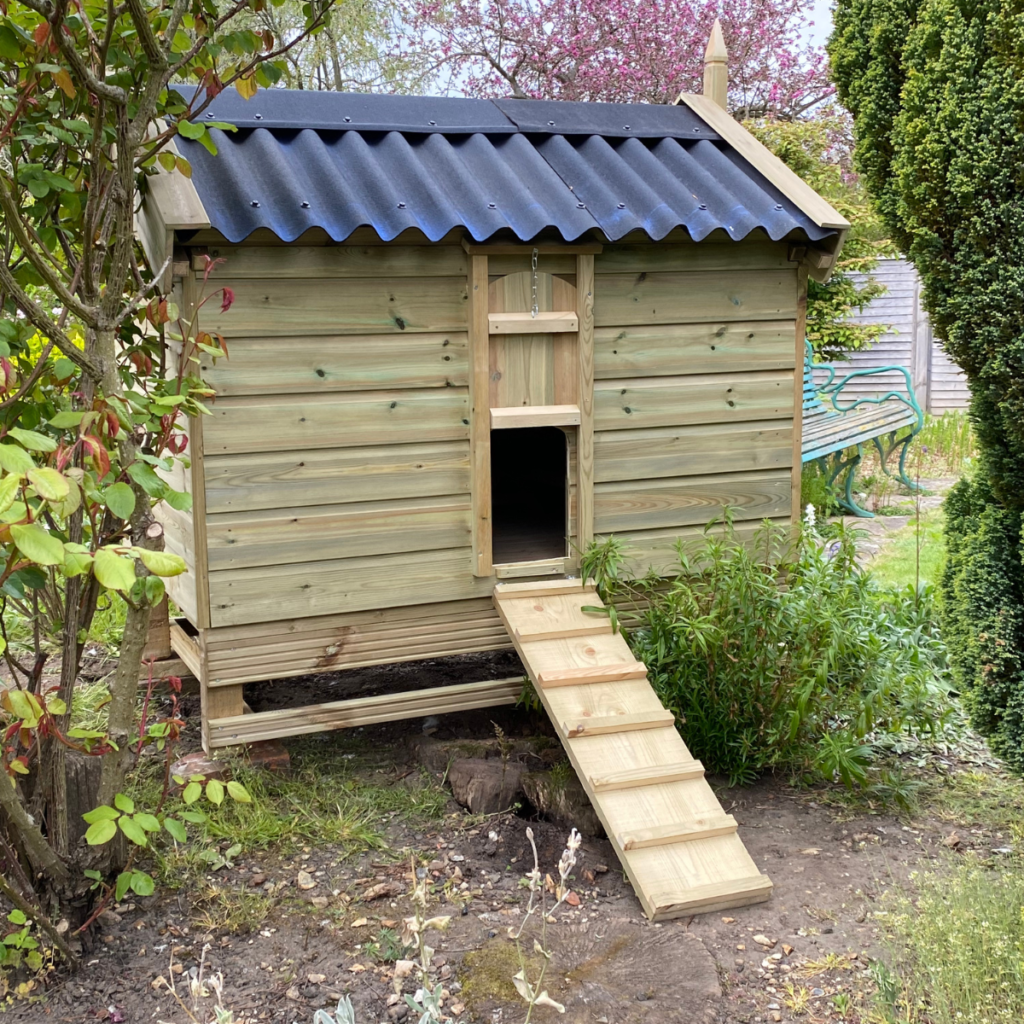 6x3 custom built henhouse